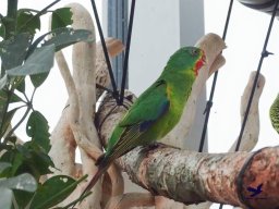 Haus des Meeres 4.02.2026